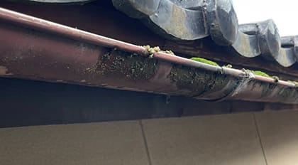 古い雨樋に落ち葉がたまっている様子の写真