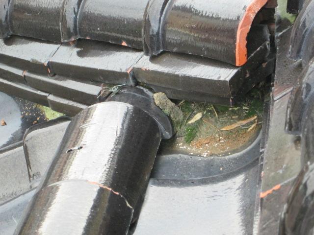 250614 yosidasama01.jpg