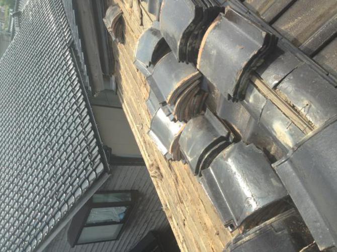 250618 ikemori03.jpg