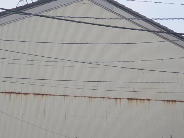 ikeda samaH29.20016.jpg