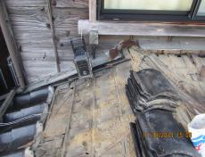 変換 ～ ooba0001.26.11.110008.jpg