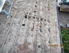 変換 ～ ooba0001.26.11.110013.jpg