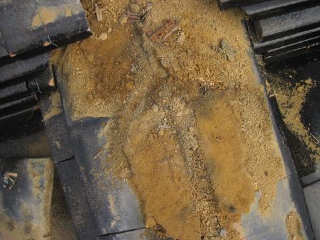 変換 ～ sano-sama26.11.27051.jpg