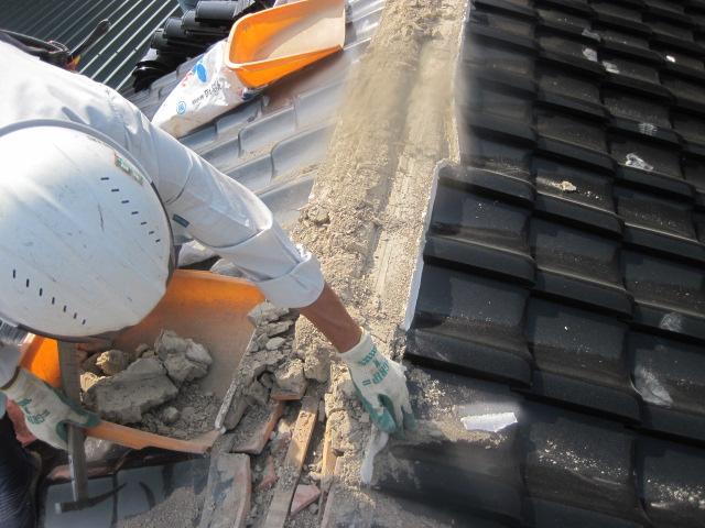 inabasama H26.80012.jpg