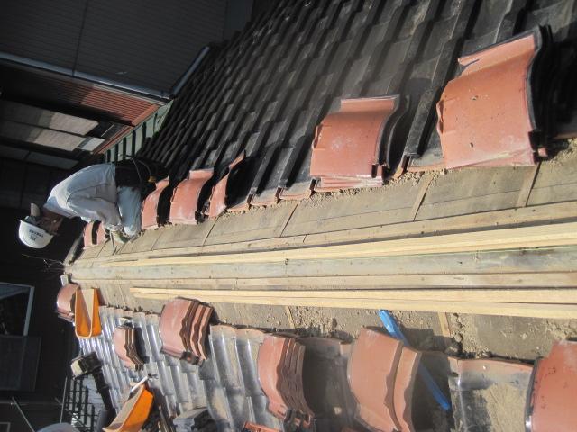 inabasama H26.80013.jpg