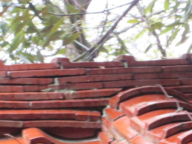 kurikarafudouzi mae000004.jpg