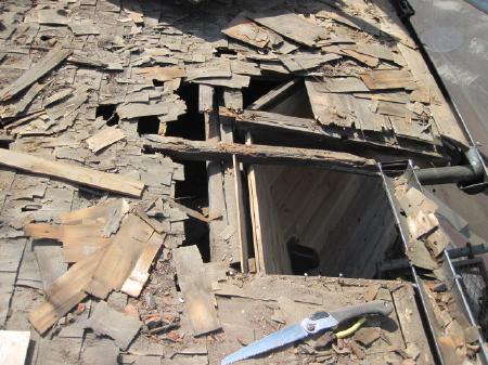 kuroume sama 000005.jpg