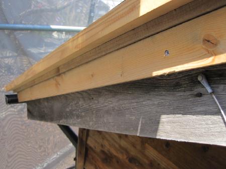 kuroume sama 000009.jpg