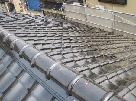 kuroume sama 000024.jpg