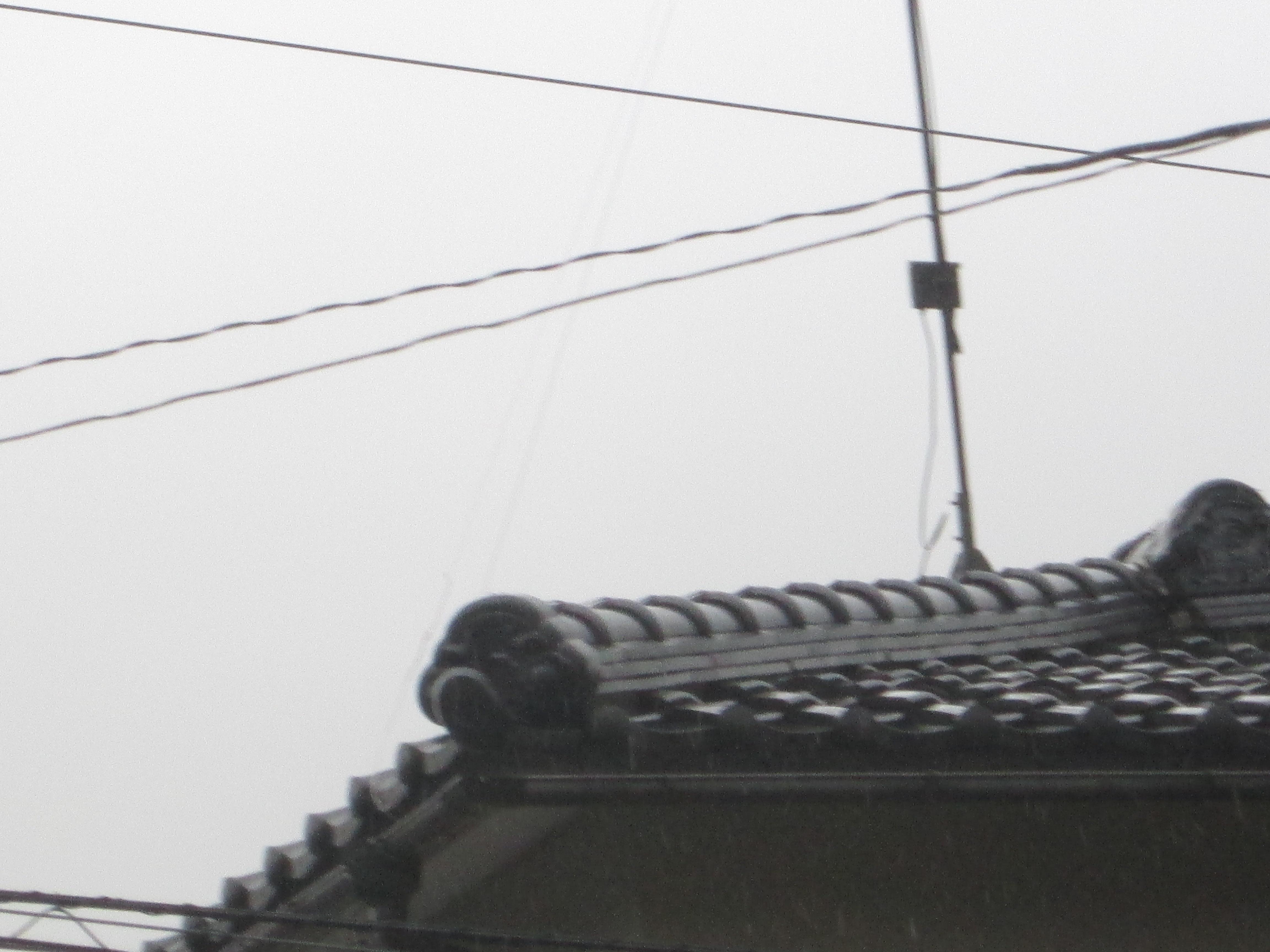 sakai mae H25.9.408.jpg