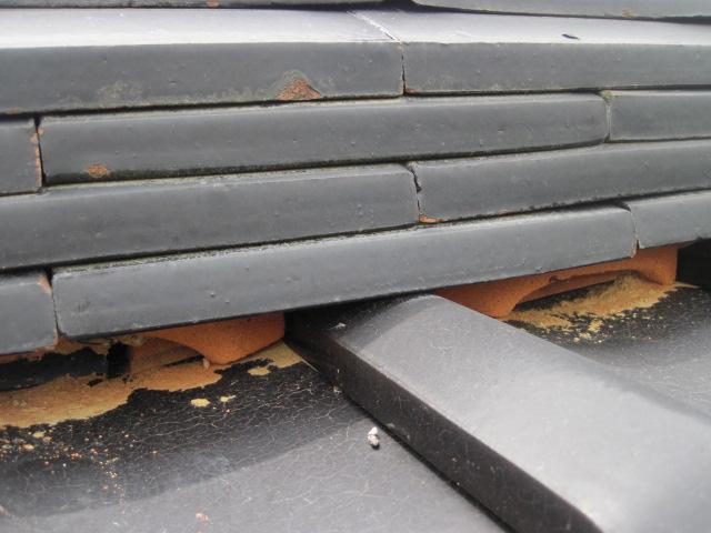 sugihayasi tuika0003.jpg