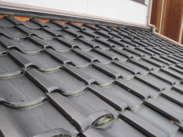 sugihayasifukitome tuika1110001.jpg