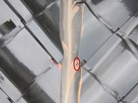 taniire taniireH25.1011.jpg