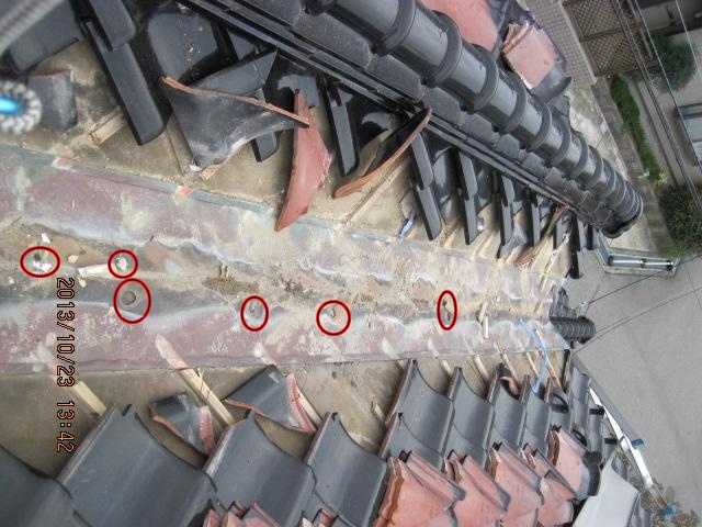 taniire taniireH25.1013.jpg