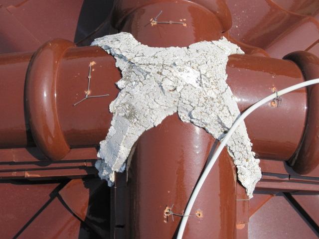 umeki 26,7,50017.jpg