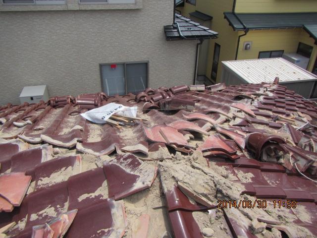 umeki 26,7,50058.jpg