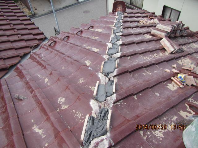 umeki 26,7,50060.jpg