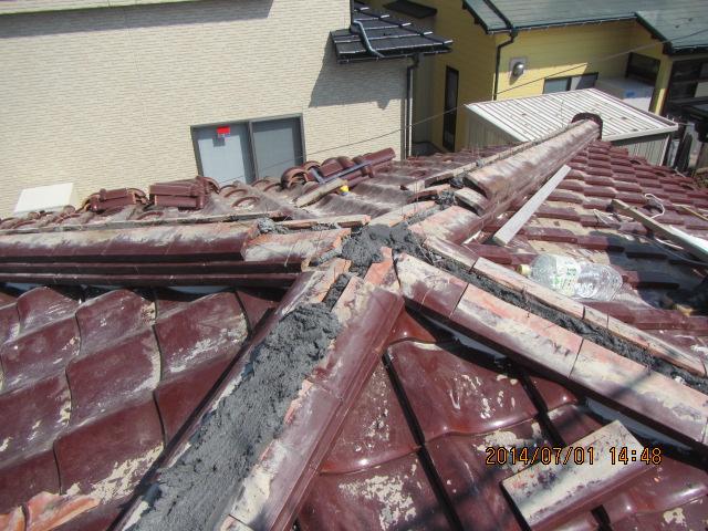 umeki 26,7,50079.jpg