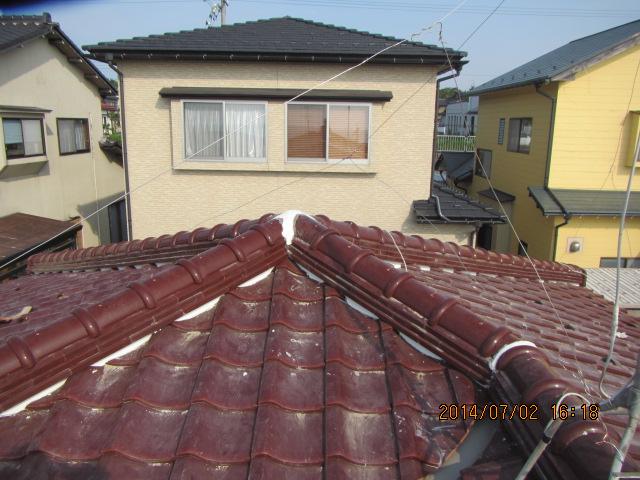 umeki 26,7,50109.jpg