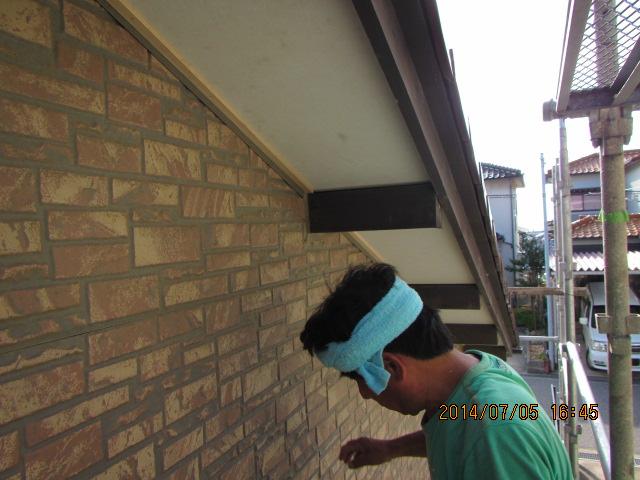 umeki 26,7,50126.jpg