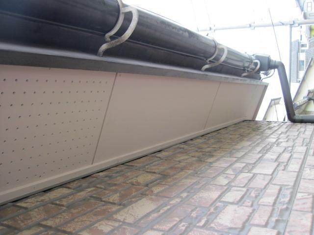 umeki 26,7,50131.jpg