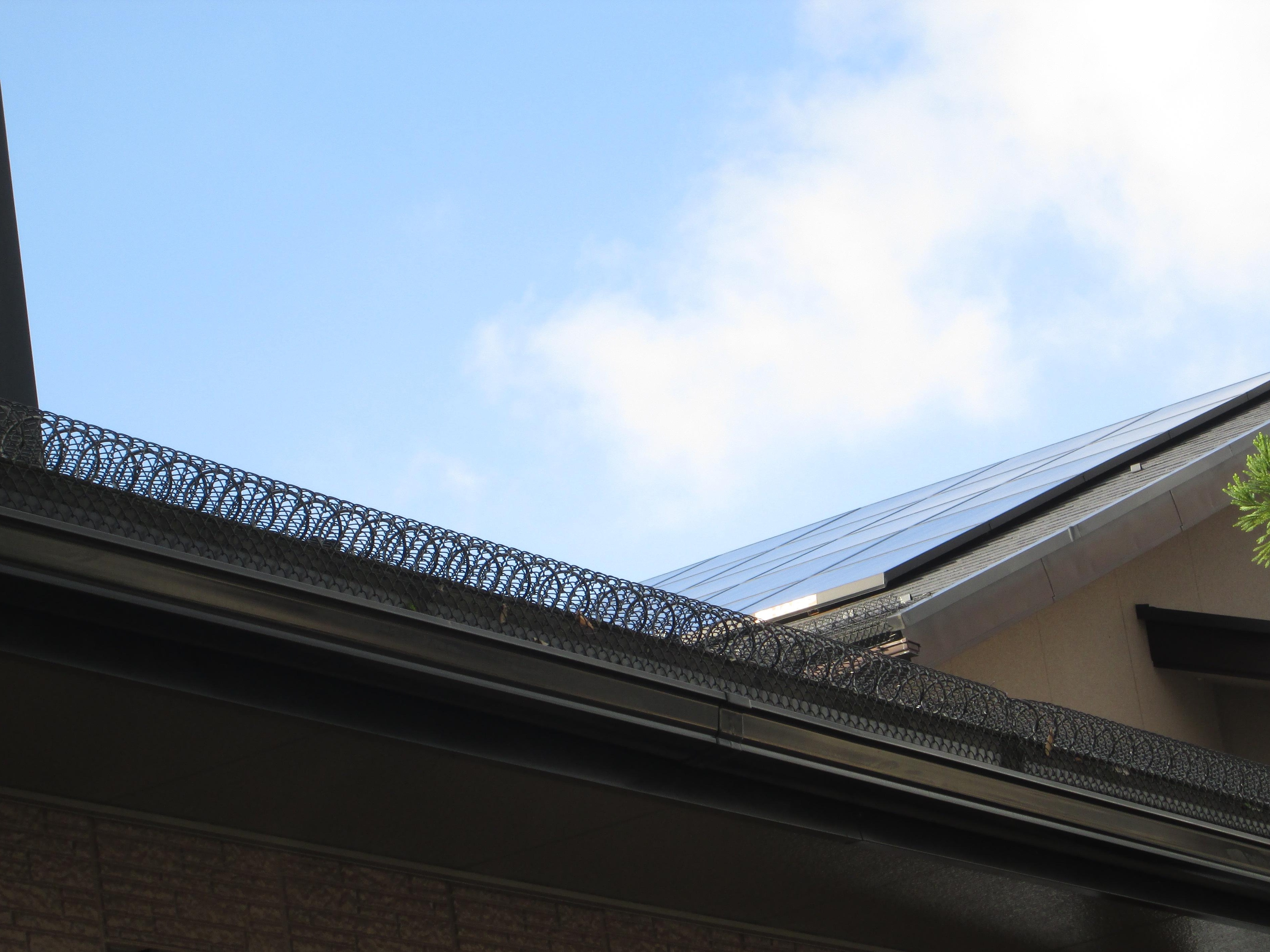 yukimoti yamatoH25.1001.jpg