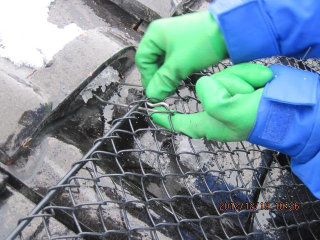 yukimotikuro H25.1004.jpg