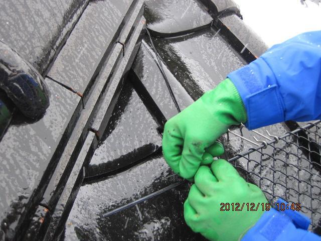 yukimotikuro H25.1006.jpg